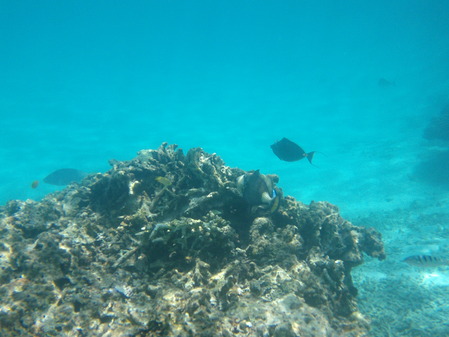 DSCF0027