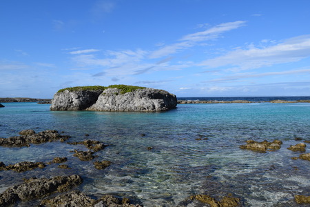 DSC_0636
