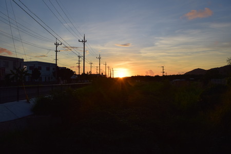 DSC_0438