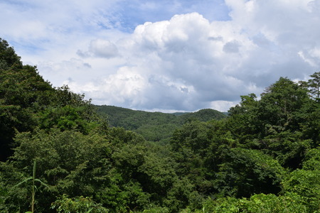 DSC_0012