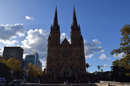 DSC_0216