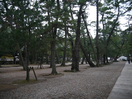 P1040758