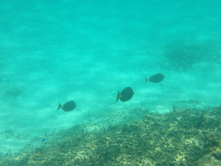 DSCF0024