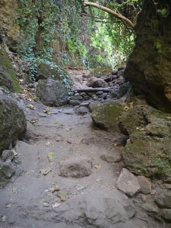 P1080696