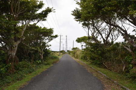 DSC_0411