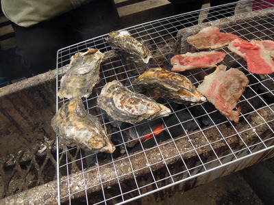 DSCN0784
