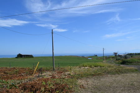 DSC_0943