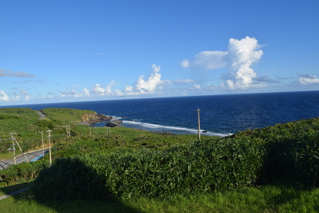 DSC_0355