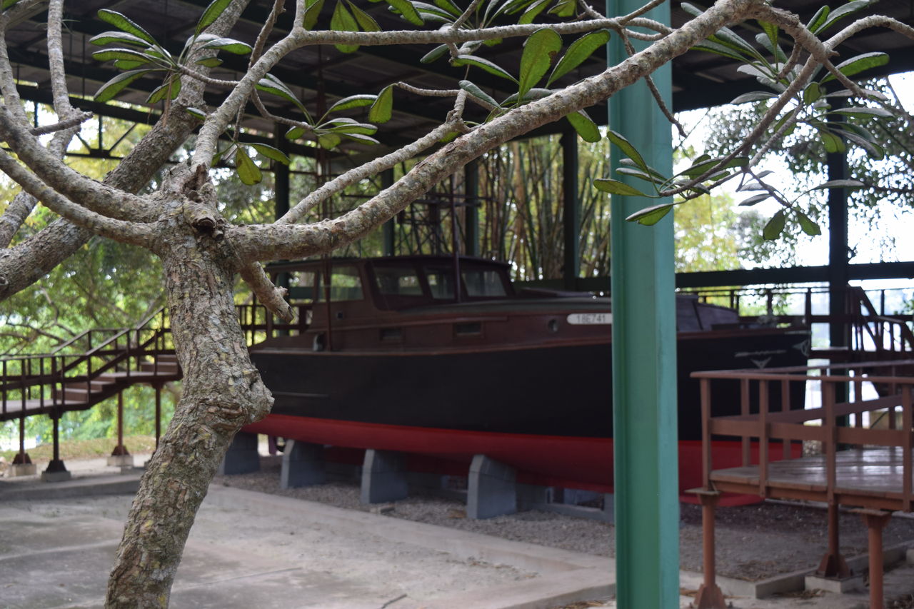 旅いちご 冬旅 キューバ ラスベガス ハバナのヘミングウェイ博物館