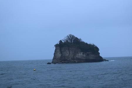 DSC_0554