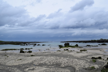 DSC_0387