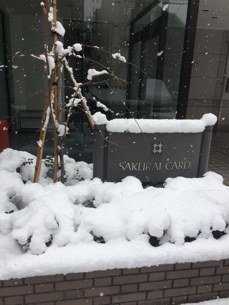 雪 京都のペーパーショップrokkaku スタッフブログ