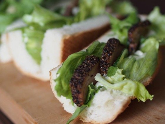 1146531_504050476346238_1422288849_n