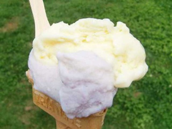 6184b57d768f8f5290d5428eb33