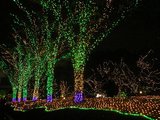 クリスマスだね