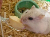 お豆腐うまぁ〜〜