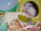 目を細めて