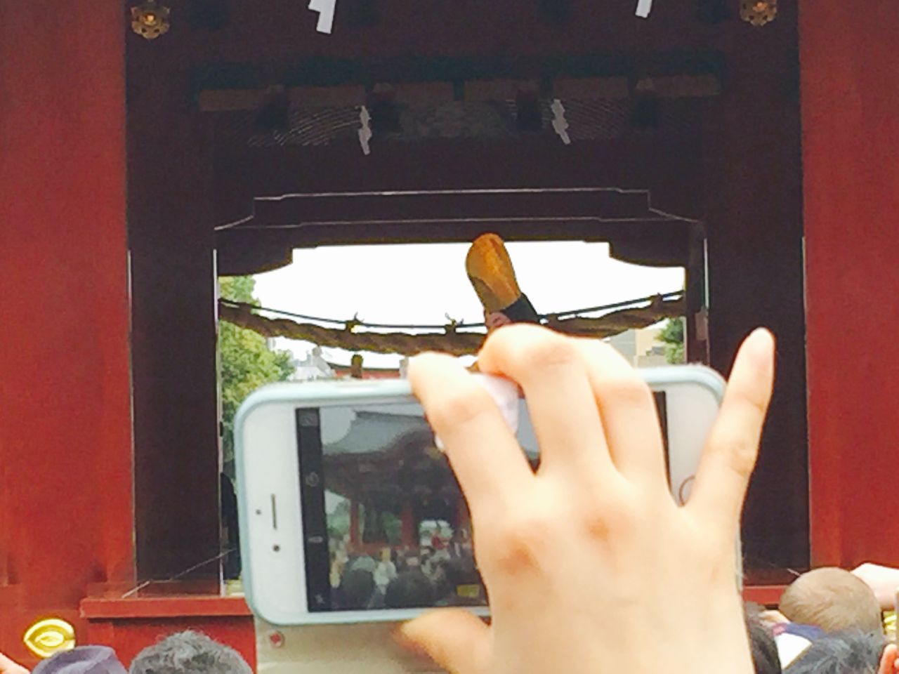 綺麗な指してたんだね 漕ぎ出そう未来へ