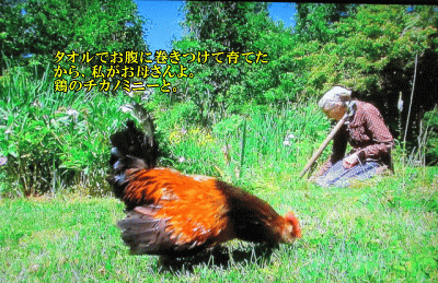 ターシャ チューダーの生き方 半径1000ｍのあれこれな日々