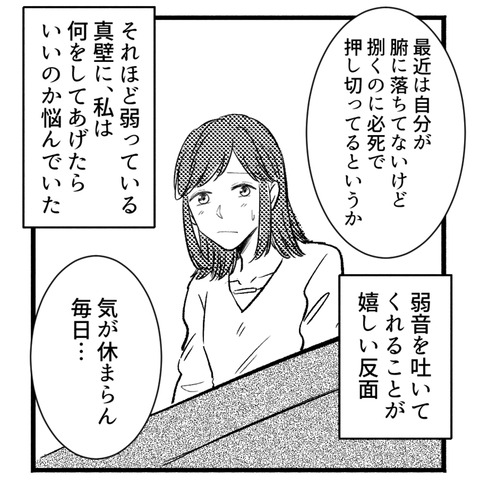 33_102-4