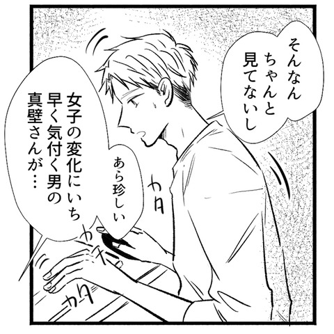 33_101-4
