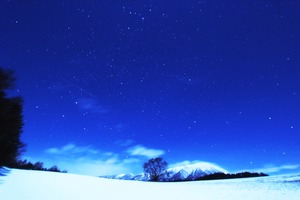20121224一本桜@雫石町