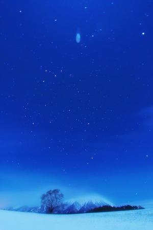 20121225.。.:*・゚Merry-X'mas:*・゚。:.*@一本桜