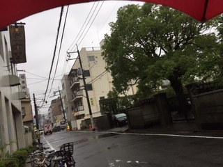 56c5e7b3.jpg