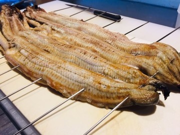 unagi.3