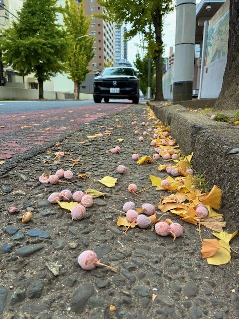 エントリ画像