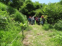 家庭で使える薬草107種　中村臣市郎 家庭で使える薬草107種 | 中村 臣市郎 |本 | 通販 | Amazon