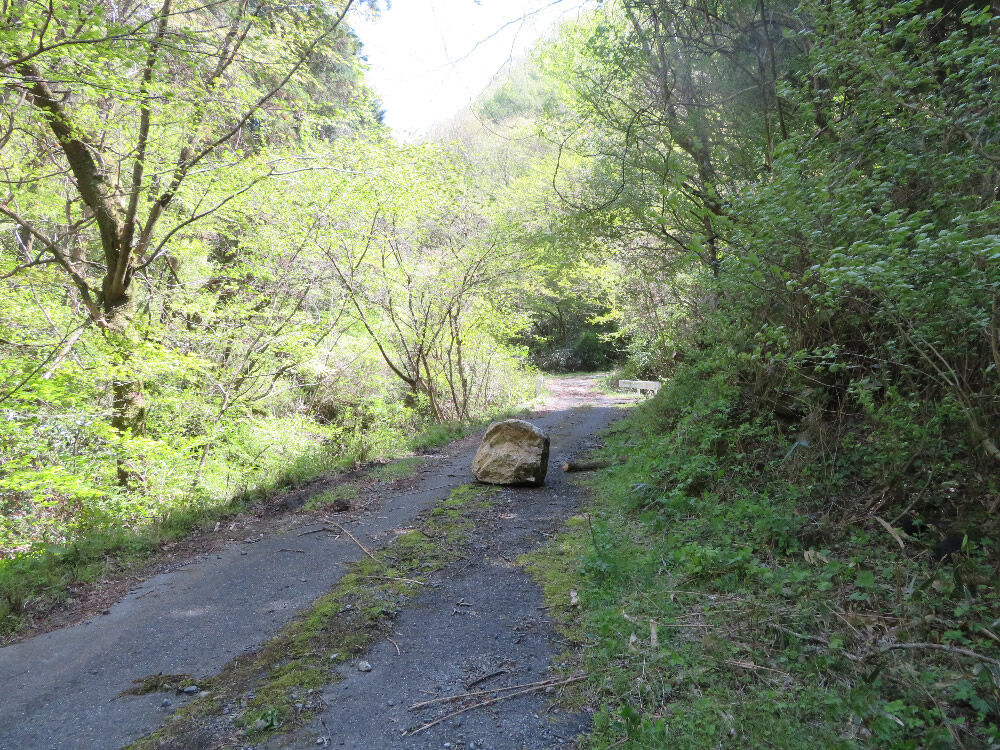 植林された急斜面の山は災害の前から崩壊を始めている 日本政府の森林偽装