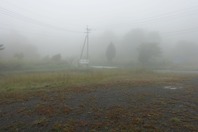 霧 看板