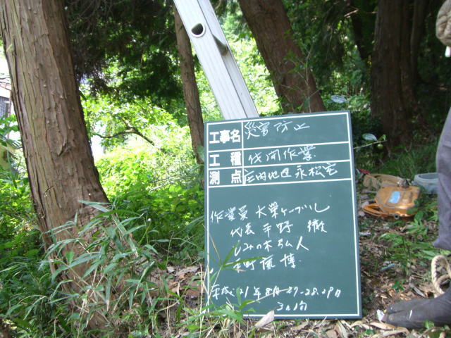 土砂崩れ 災害防止にスギ伐採 日本政府の森林偽装 日本一野鳥を助けた男のブログ 土砂崩れ 災害防止にスギ伐採 日本政府の森林偽装 日本一野鳥を助けた男のブログ