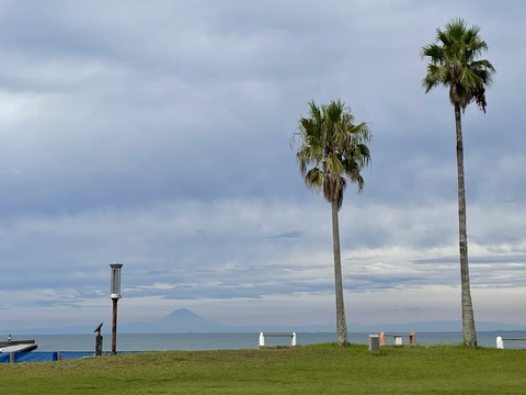 9A386E02-1882-49A4-90F8-6AC2D54A5E05