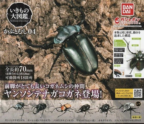 846F62A3-77C6-49D9-8554-1612CCC5C6C3