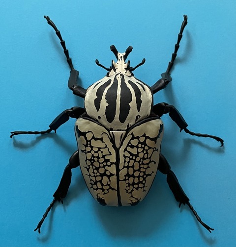 50AC0F7D-1BBD-4E20-B650-88DFC8E37DA4