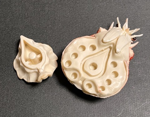 570FF8BB-8A34-4853-BE8F-A3EF6CD30303