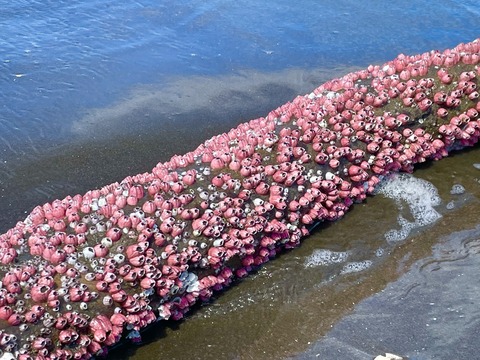 3F684EC0-CCA6-4296-A0BB-DC9206F689D7