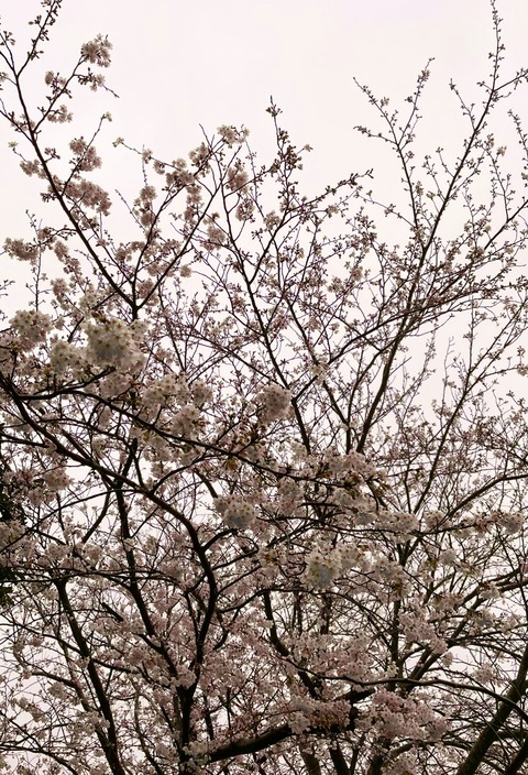 05C4ECCB-D3A1-4F45-BDE0-0802E2651C8A