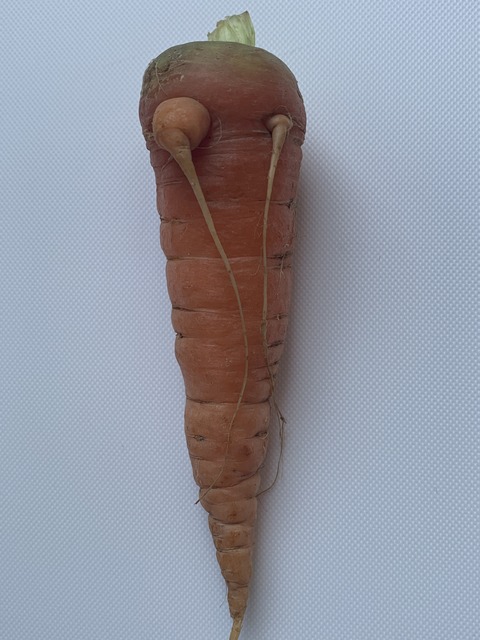 1C414040-C8DD-480E-83BA-E6F7AB7A8217