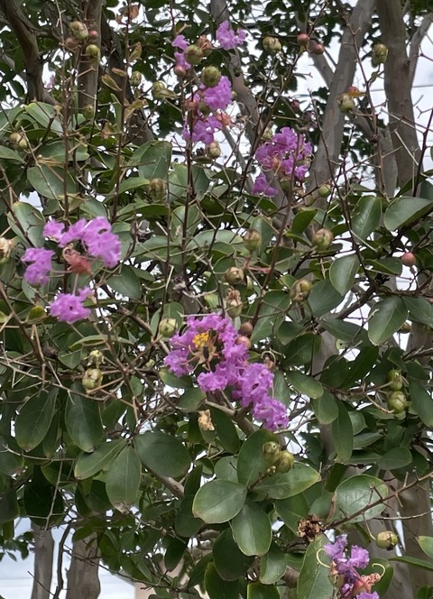 B56C41D5-E79C-4435-AC53-D26E2EE508B4