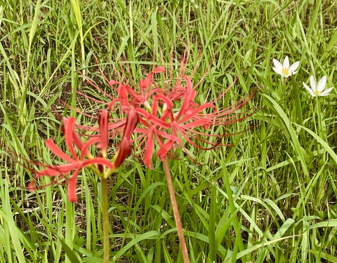 3B31009C-8419-43FA-B805-ABFB0FE96D70