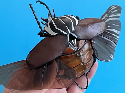 8F0779FF-4046-4760-87F2-EB160E8B7F69