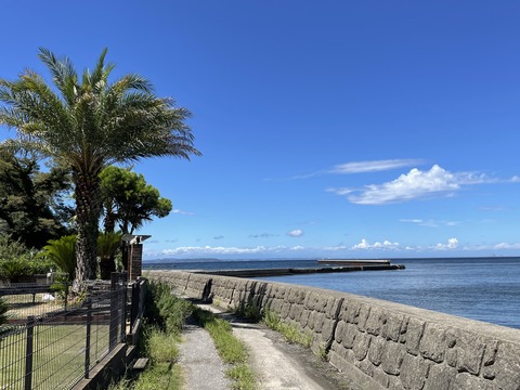 458AD6EA-171F-49E8-A7E3-FB6D25B64BE3