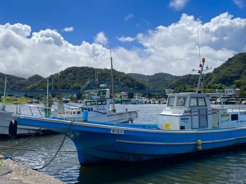 66E3944C-C4BE-4355-A423-4484F03A20BD