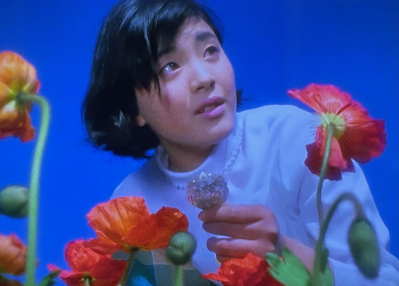 ウルトラセブン 31話 悪魔の住む花 昭和39年男 Born In 1964