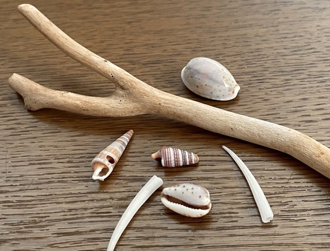 17661AEF-4F61-4677-B8F0-3FB09F8A745B