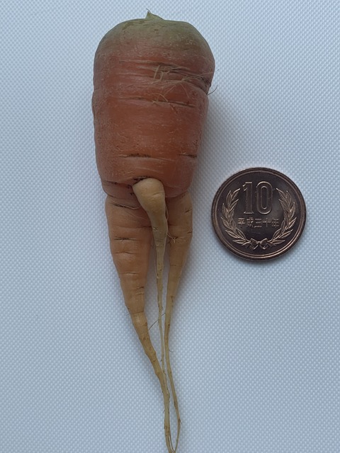 23F2D578-D25B-44C1-A55D-C27657D1679C