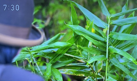 9FA8FEEE-0D19-4A9E-8A7B-200B3DEE6474